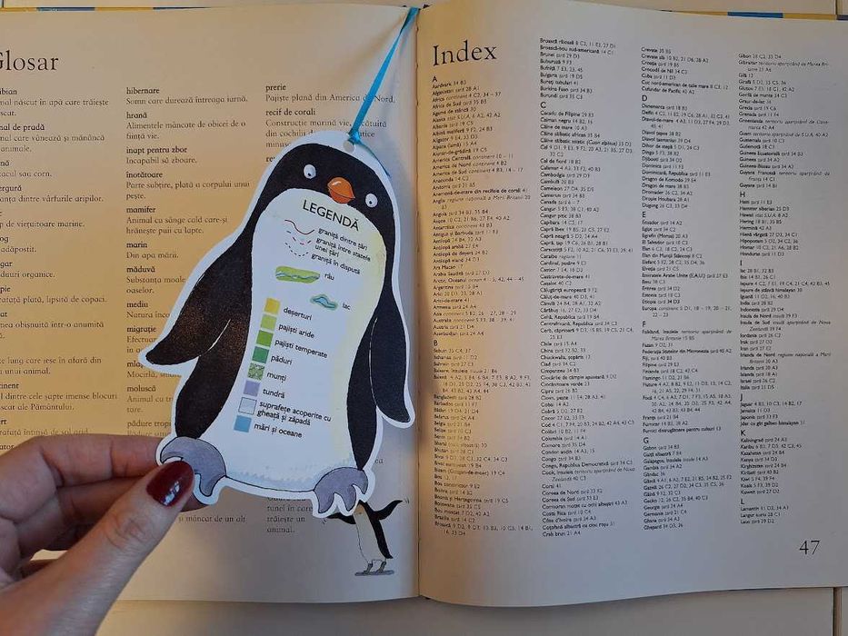 Primul atlas ilustrat - Animale (ed. Corint Junior)