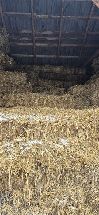 Vând baloti de paie