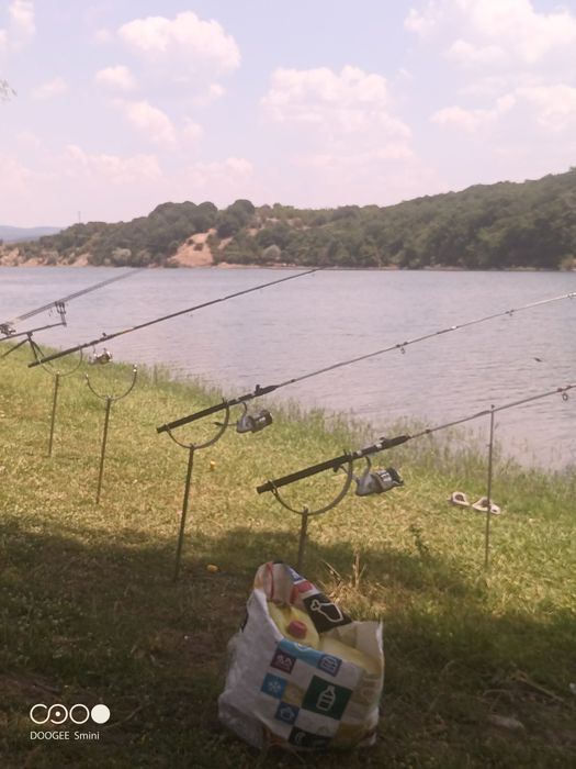 Стойки за шаран..