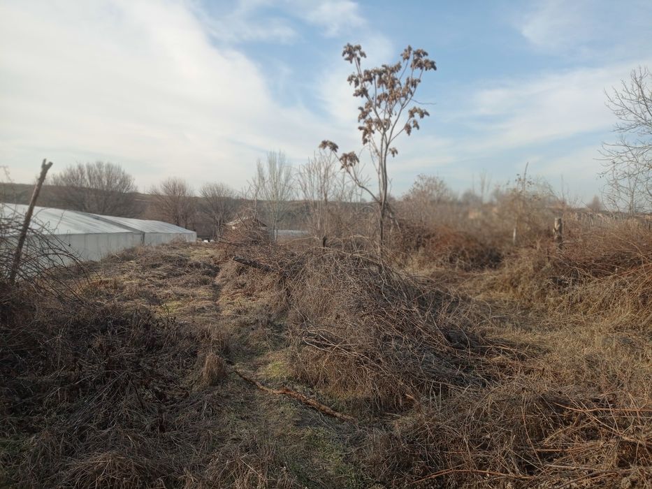 Продаётся Дом с земельным участком для сада