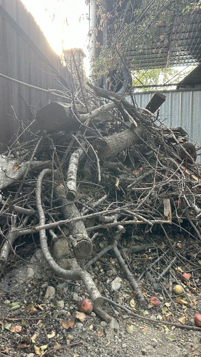 Дрова, дерево, бесплатно