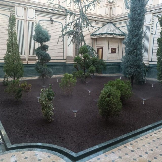 Gazon ruloni landshaft dizayni xizmatlari