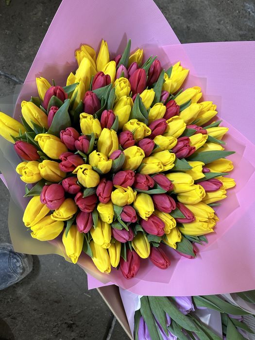 Открыт предзаказ тюльпанов