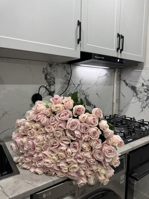 роза голландские свежийй