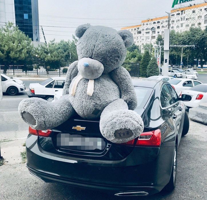 Тедди Teddy Teddi Teddiy по Оптовым сенам