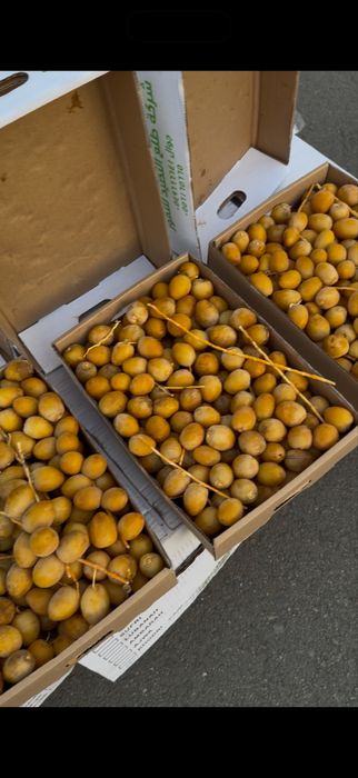 Финиковый склад, курма, рамадан