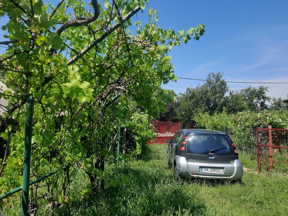 Casa cu 3 camere in Comuna Fagetelu Jud. Olt cu 8515 m2 teren ( 5975 m2 Intravilan, 140 m2 lac, 2400 m2 padure), totul compact, intr-un singur loc.