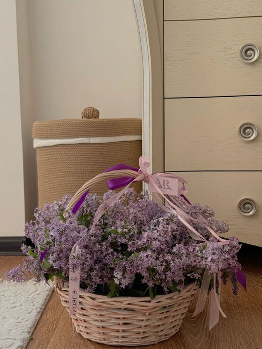 Сирень АСТАНА букет/корзина