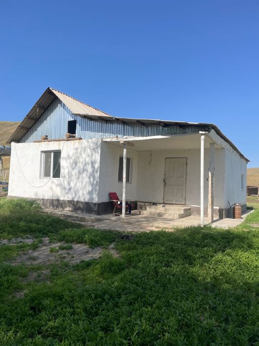 Фазенда в Акыртобе