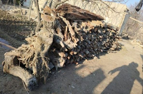 У́тин(Драва для печки и тандыра для выпечки самсы)