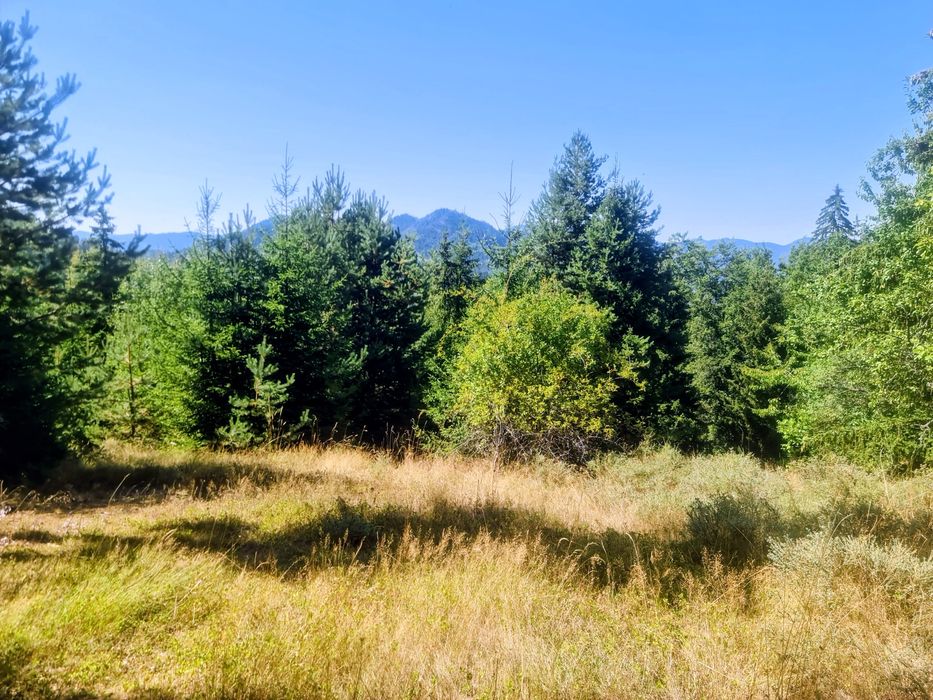 Продава се Земеделски имот в с. Чокманово, Област Смолян -  кв.м за 1450 €/дка - Снимка #1