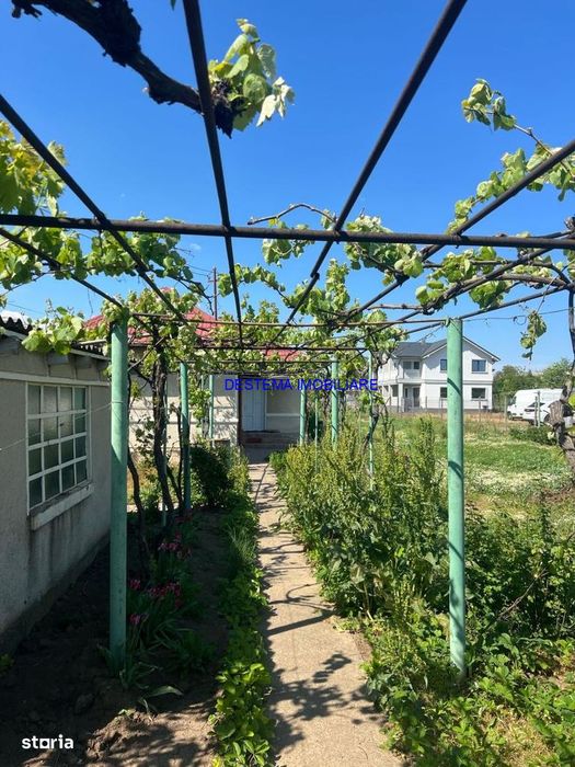 Valu lui Traian, casa la strada principala