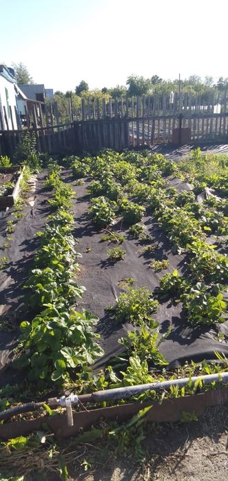 Продам дачу на Уралочке