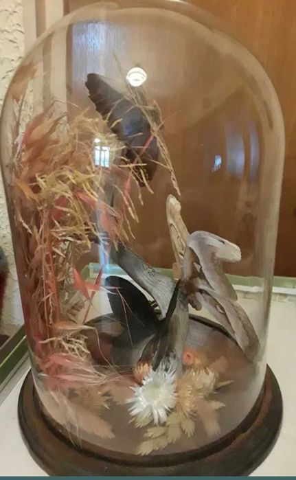 Aranjament Made in U.S.A.