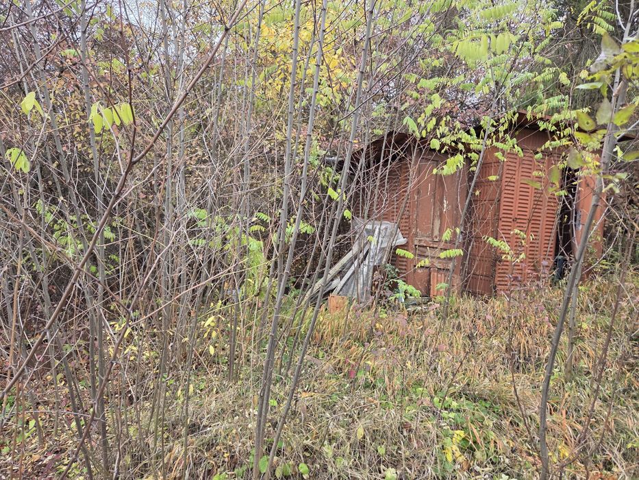 Почистване на запустели парцели и имоти