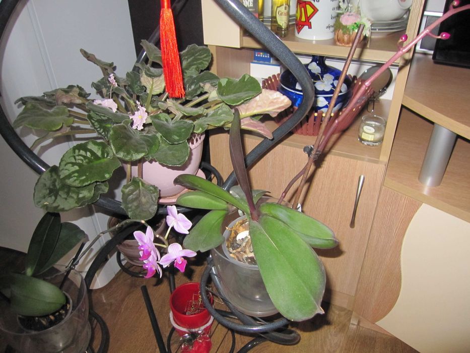 Canon Digital IXUS 110 IS 12,1МРх