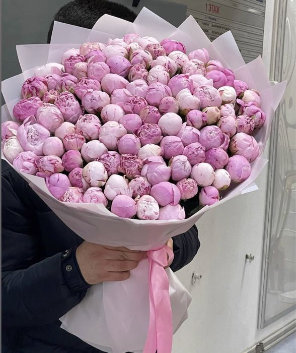 Пионы, розы голландские сорта