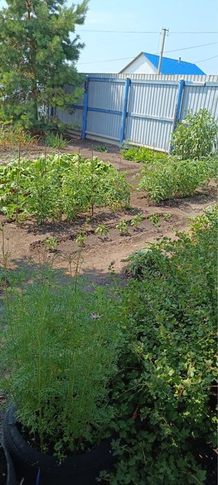 Продам дом с.Архангельское