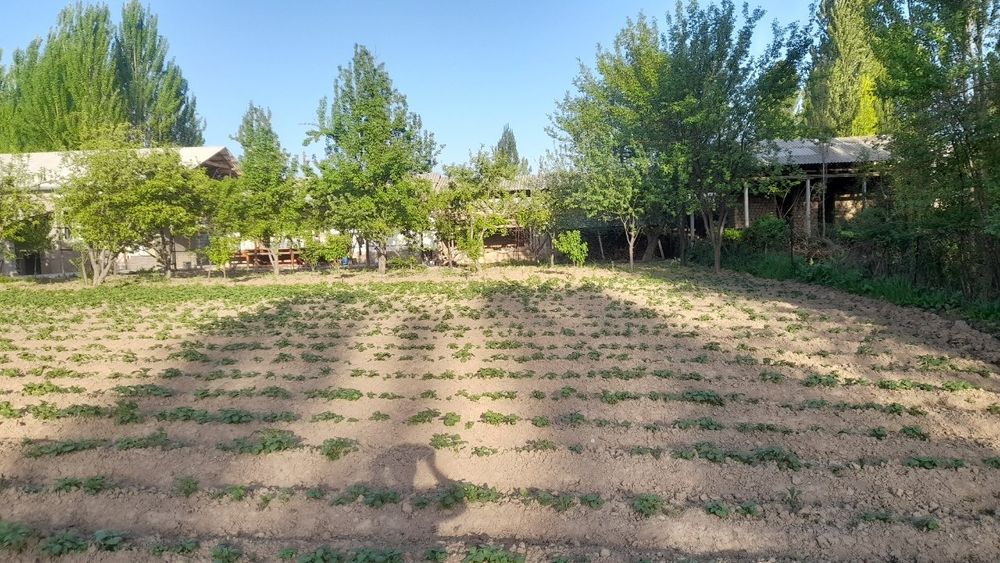 Srocna yer sotiladi hamma dakumentlari joyida