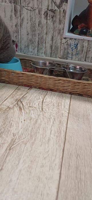 Кормушка для котиков и мелких собак