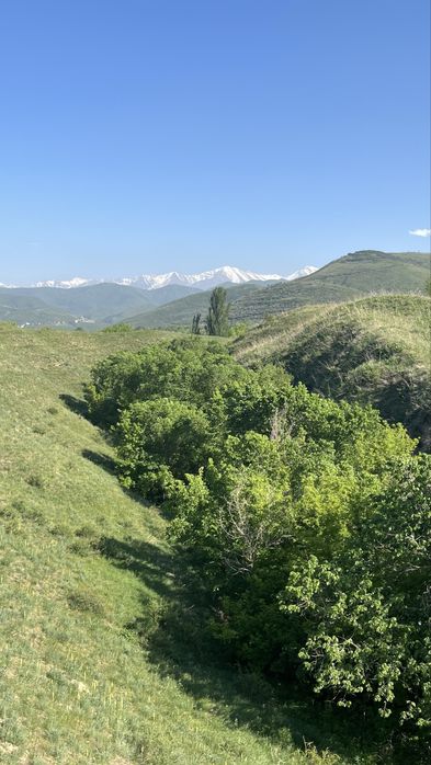 Отдых на природе