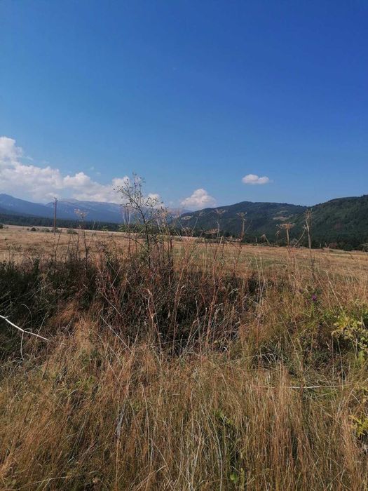 Продава се Земеделски имот в с. Говедарци, Област София-област -  кв.м за 22500 €/дка - Снимка #2