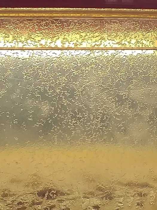 Microviermi pentru pestii de acvariu