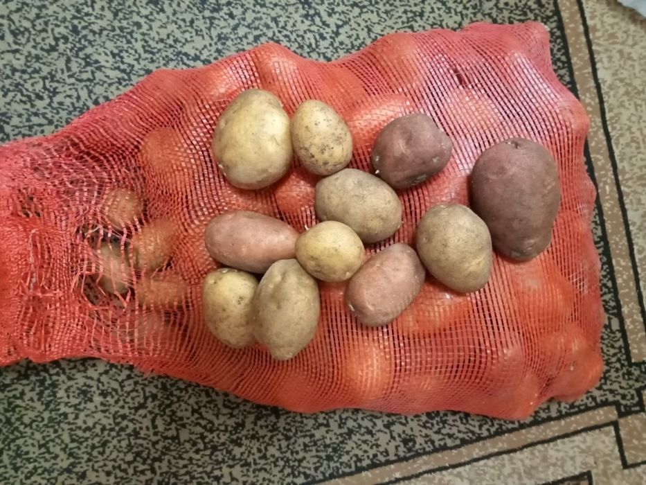 Продам картофель