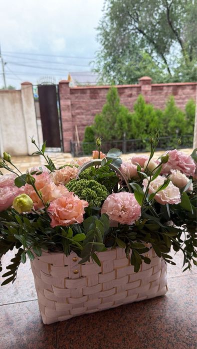 Продам цветы свежие