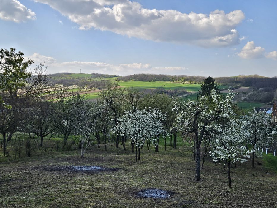 Casa cu teren de vanzare