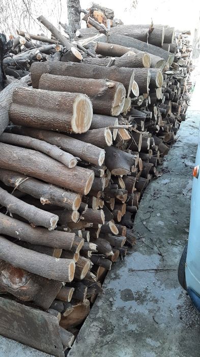 Tut daraxtidan o'tin sotamiz.