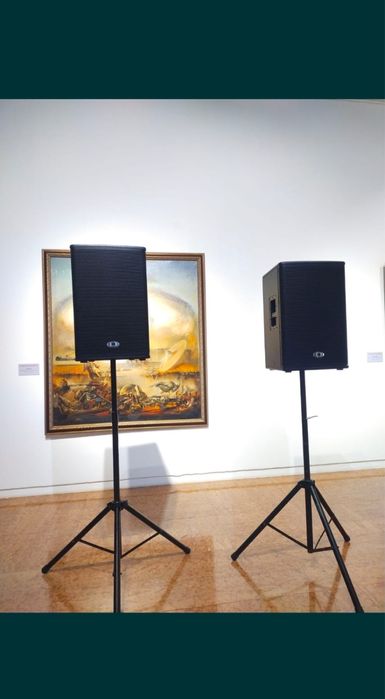 Аренда музыкальной аппаратуры 25.000тг