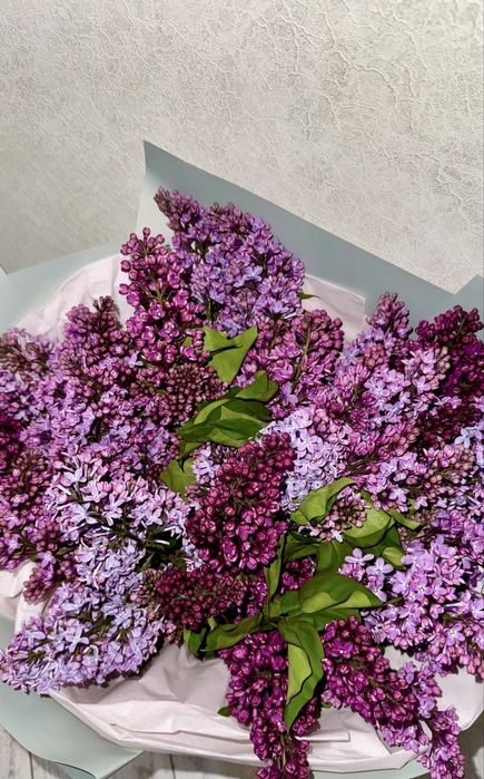 Продам сирень свежие