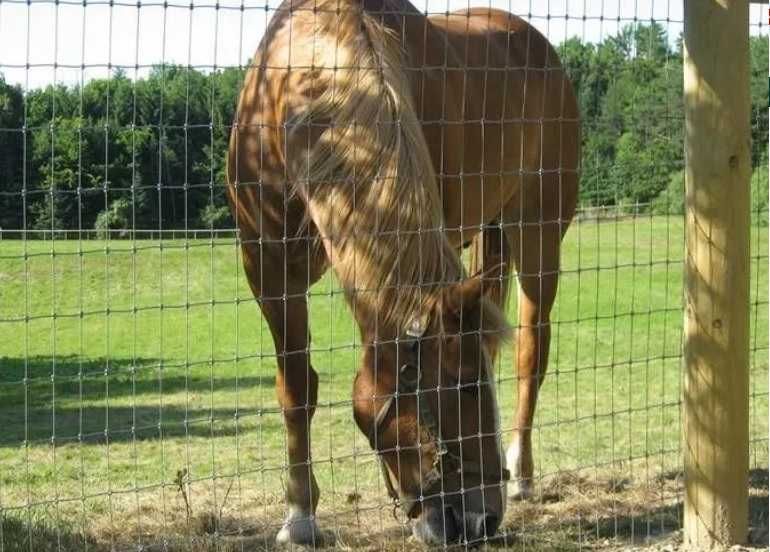 Сетка Чабанка ,шарнирная сетка