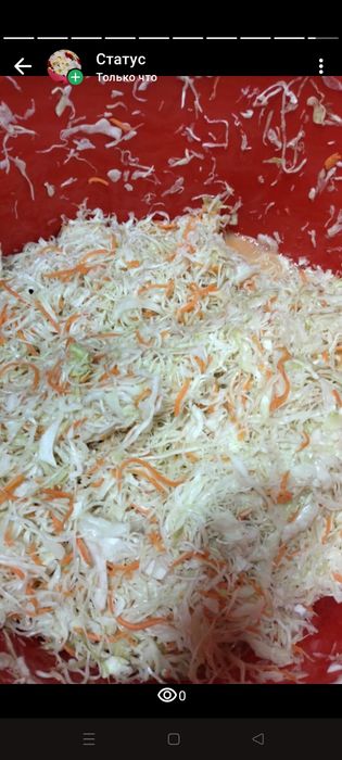 Домашняя Квашеная капуста