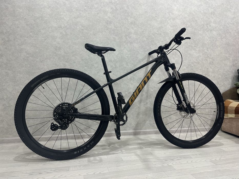 Giant talon 2 2025