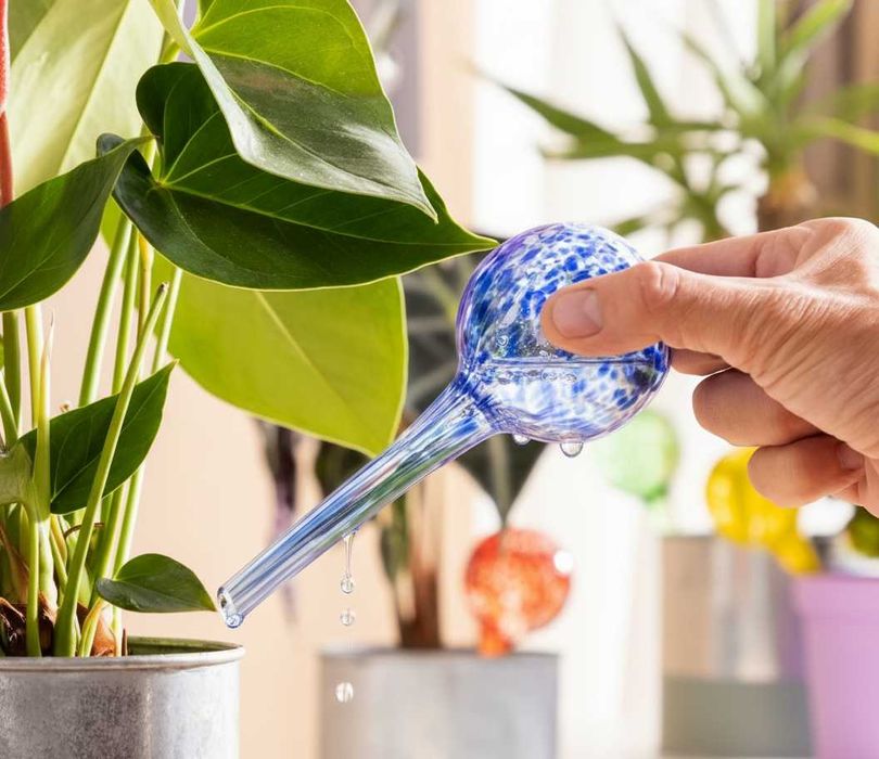 Set 4 bile de udare sticla sistem automat prin picurare 100ml