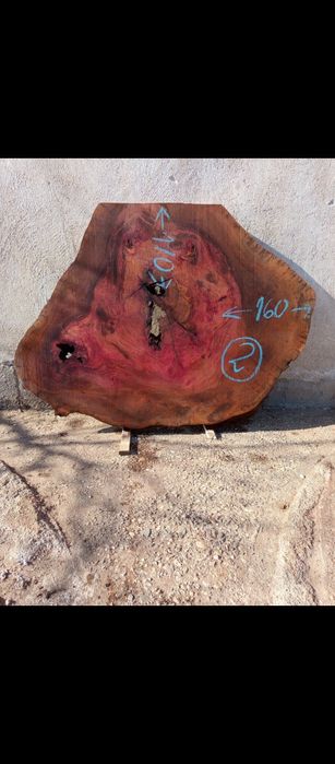 Шайби ф120-160см от чинар за заливане със смола за трапезна маса.