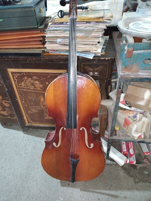 Анатомия для художников