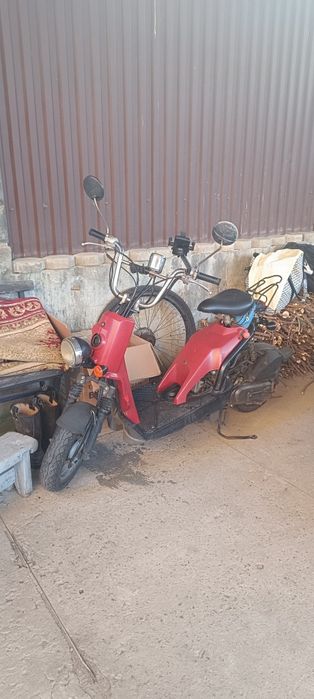 Хонда Зумер Honda Zoomer