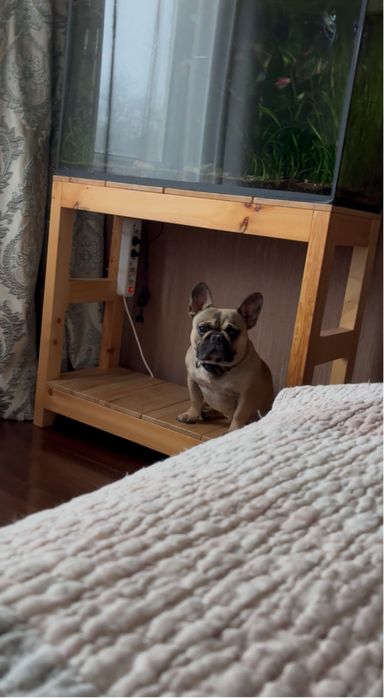 Девочка француженка.