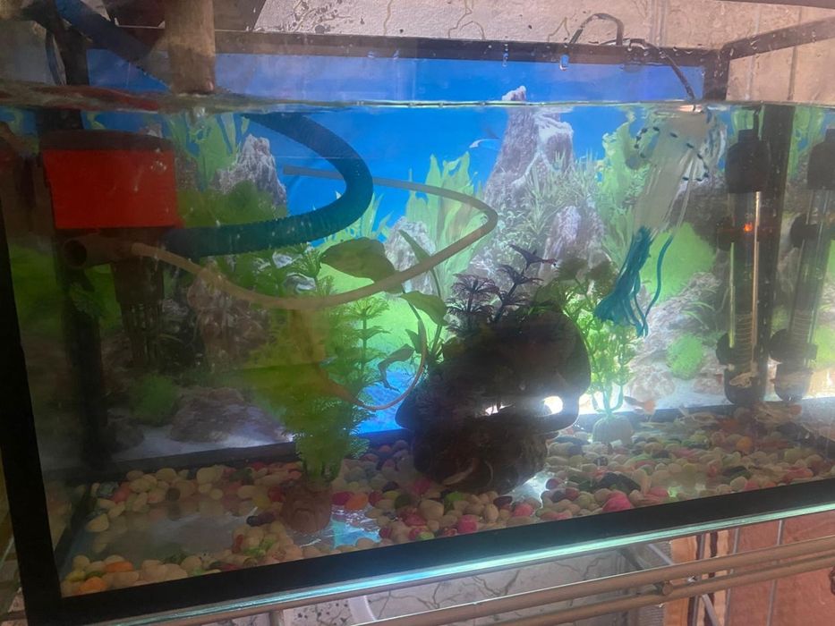 Продам аквариум с рыбками