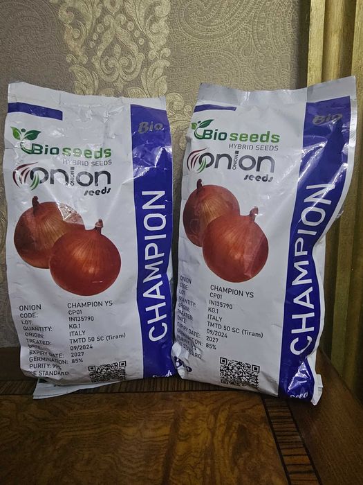 Пиёз уруглари -  семена лука