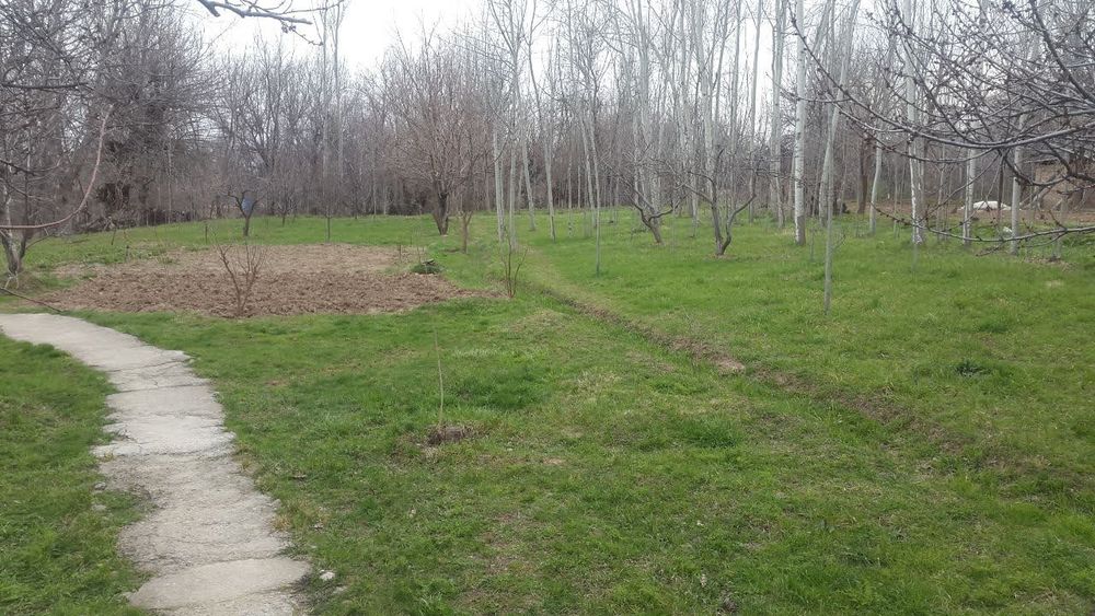 Dacha uchun yer bósyonliqda Xondoyliqda