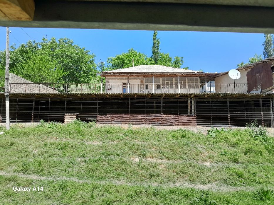 Галавасой паселкаси Тогизкол кучаси 8 чи уй котта ховли уй 24 сотик