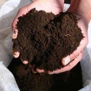 Biogomus Удобрение для огородов и сада цена оптовая