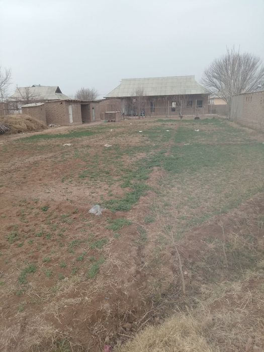 Muzrabot tumani yangi diyor mahallasi yer sotiladi