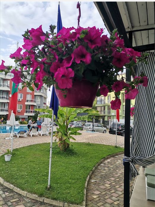 Продава се Двустаен апартамент в с. Лозенец, Област Бургас - 50 кв.м за 1400 €/кв.м - Снимка #11