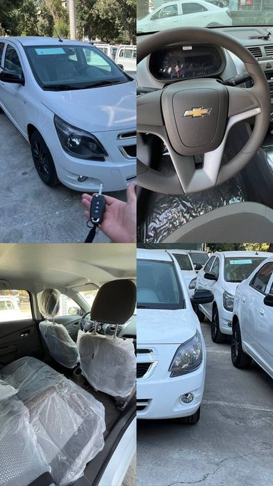 Cobilt Midnight Full 2025