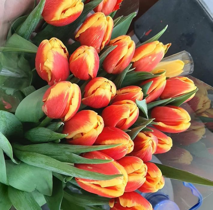 Шикарные тюльпаны в наличии